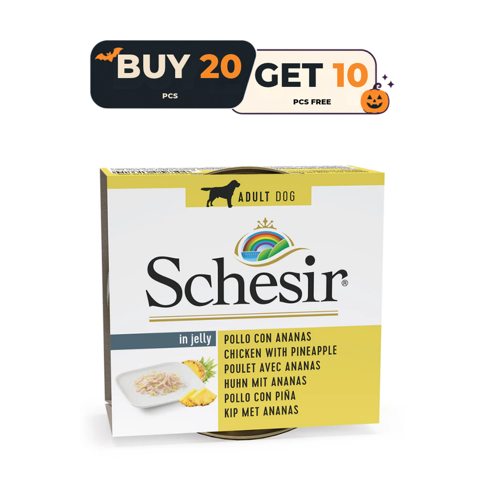 Schesir Dog Wet Food in Jelly Can-Chicken With Pineapple 150g [MOQ:10pcs] Buy 20 Pcs & Get 10 Pcs Free
