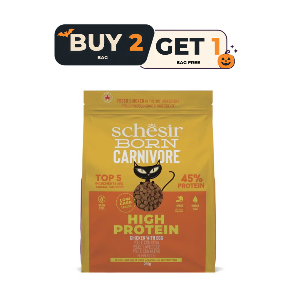 Schesir Born Carnivore Grain Free Oven Baked Dry Food [High-Protein] For Cat - Chicken&Egg  255g - Buy 2 & Get 1 Free