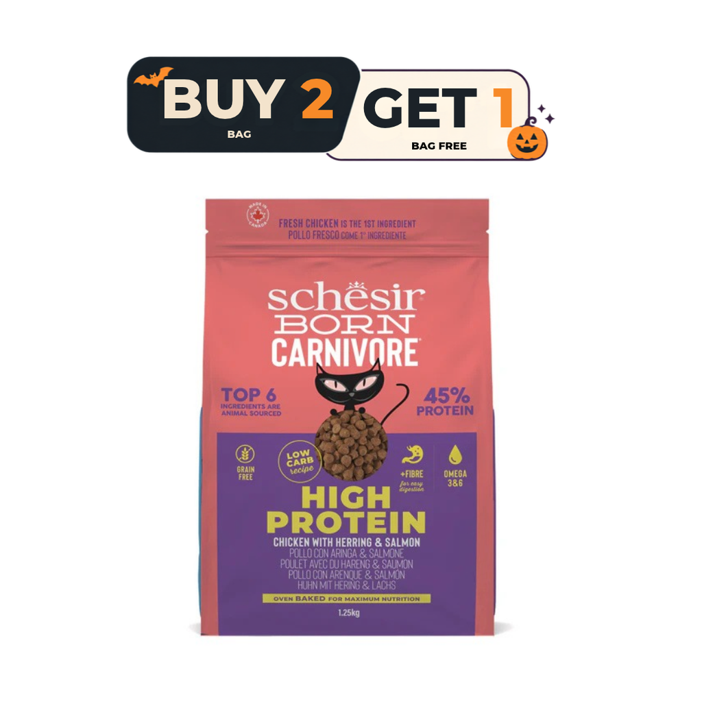 Schesir Born Carnivore Grain Free Oven Baked Dry Food [High-Protein] For Cat - Chicken with Herring & Salmon  1.25kg - Buy 2 & Get 1 Free