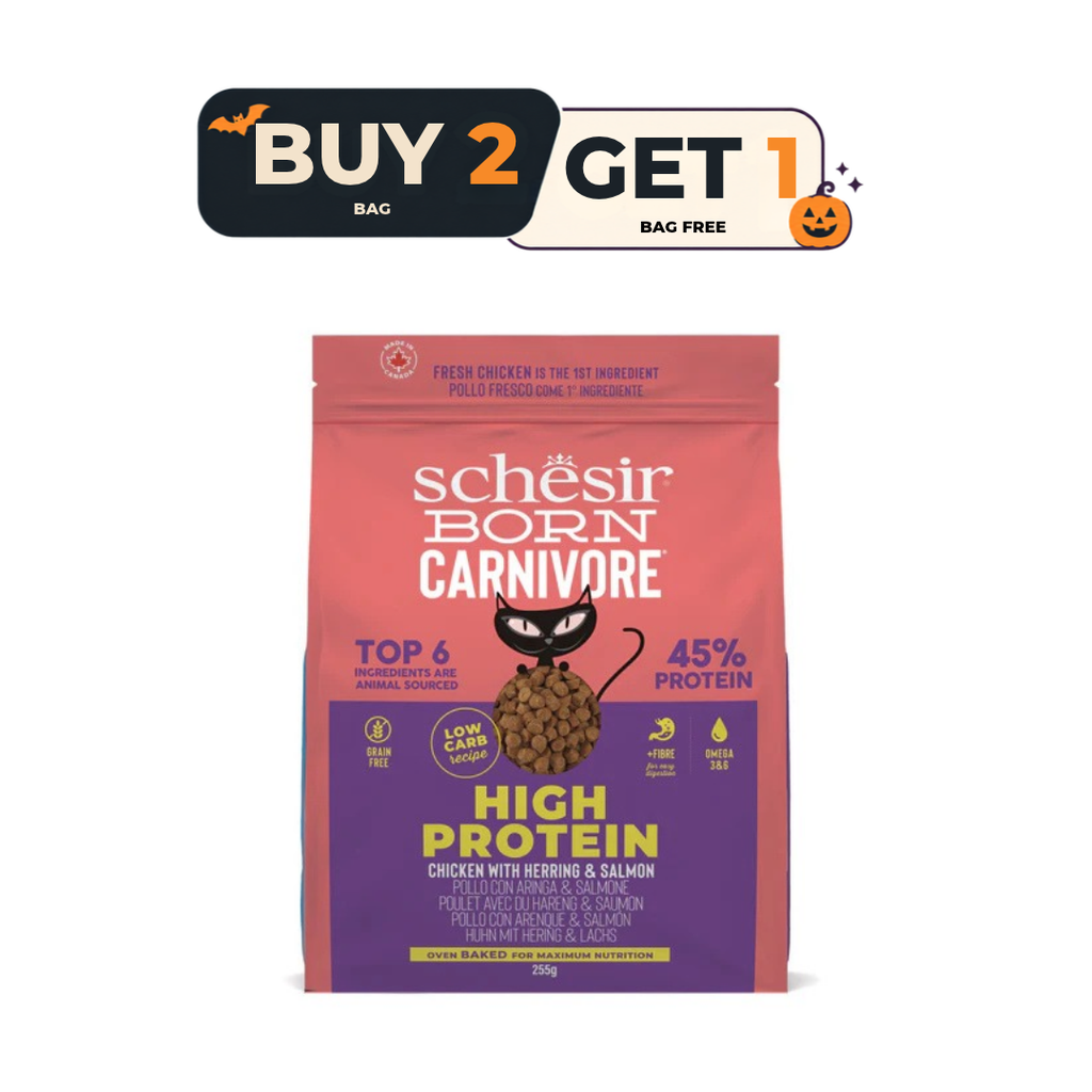 Schesir Born Carnivore Grain Free Oven Baked Dry Food [High-Protein] For Cat - Chicken & Herring  255g  - Buy 2 & Get 1 Free