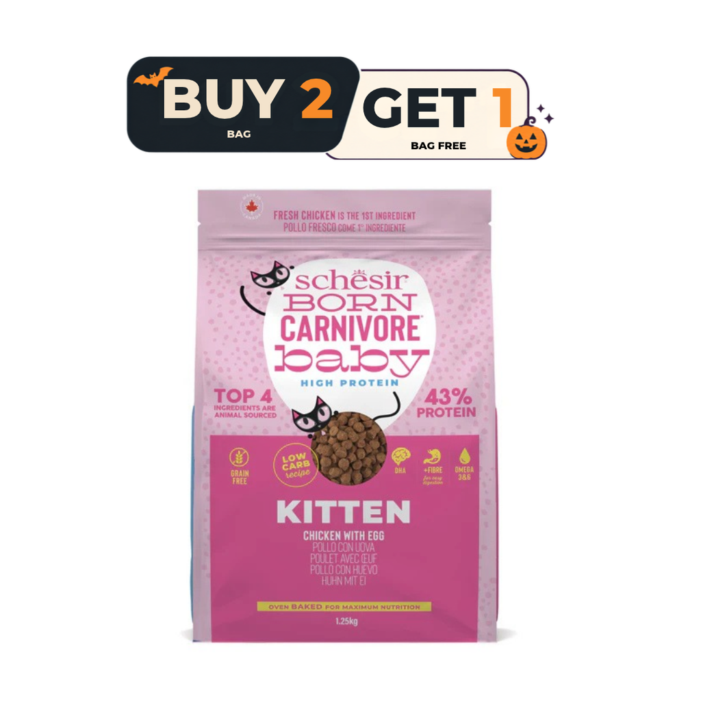 Schesir Born Carnivore Grain Free Oven Baked Dry Cat Chicken & Egg - Kitten 1.25kg - Buy 2 & Get 1 Free