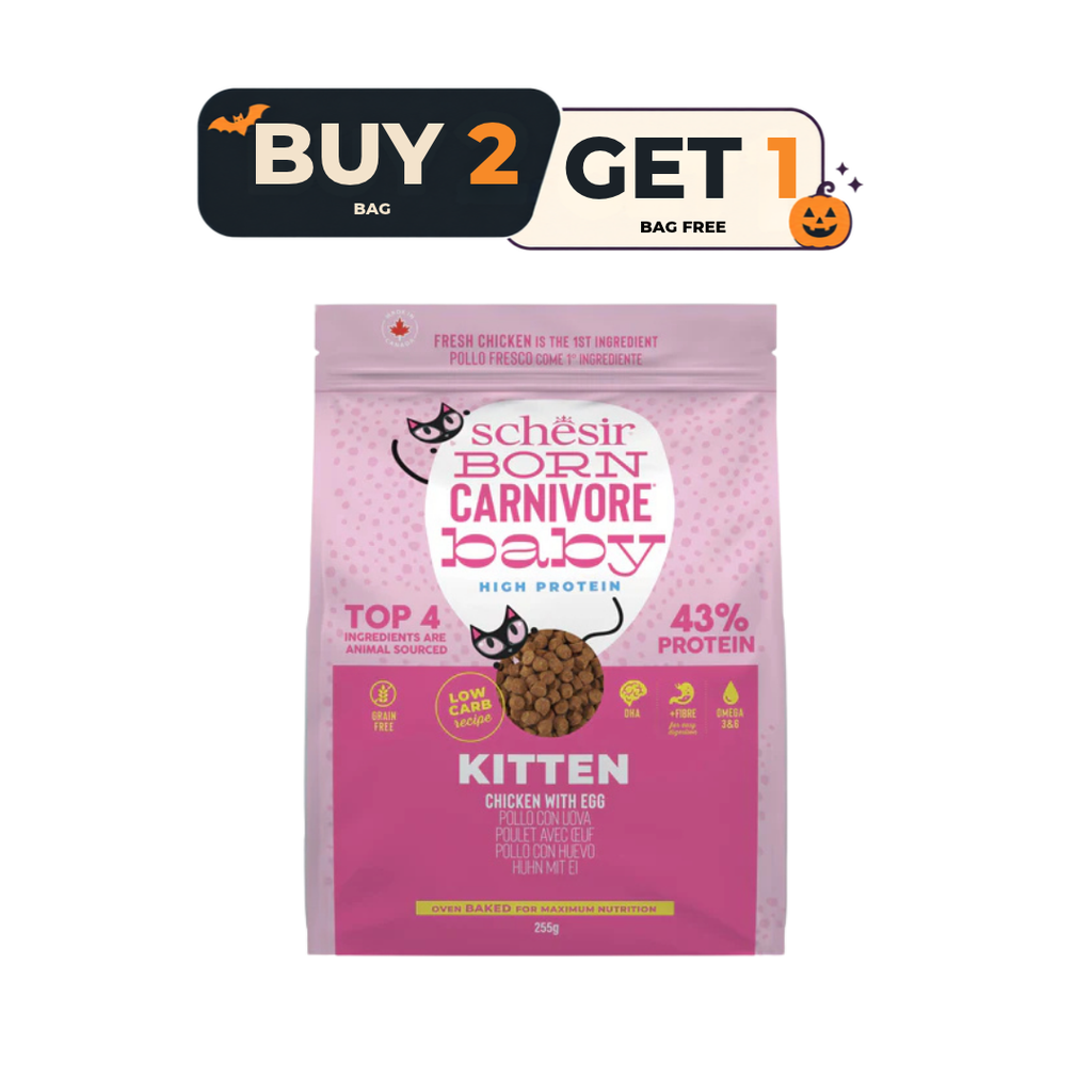 Schesir Born Carnivore Grain Free Oven Baked Dry Food [High-Protein] For Kitten - Chicken & Egg  255g - Buy 2 & Get 1 Free
