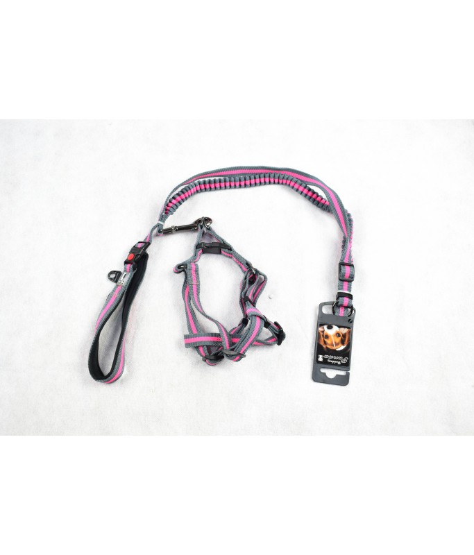 Golden Panda Leash + Harness + Collar[Dimension - 25mm x 60-90cm + 15mm x 120cm]