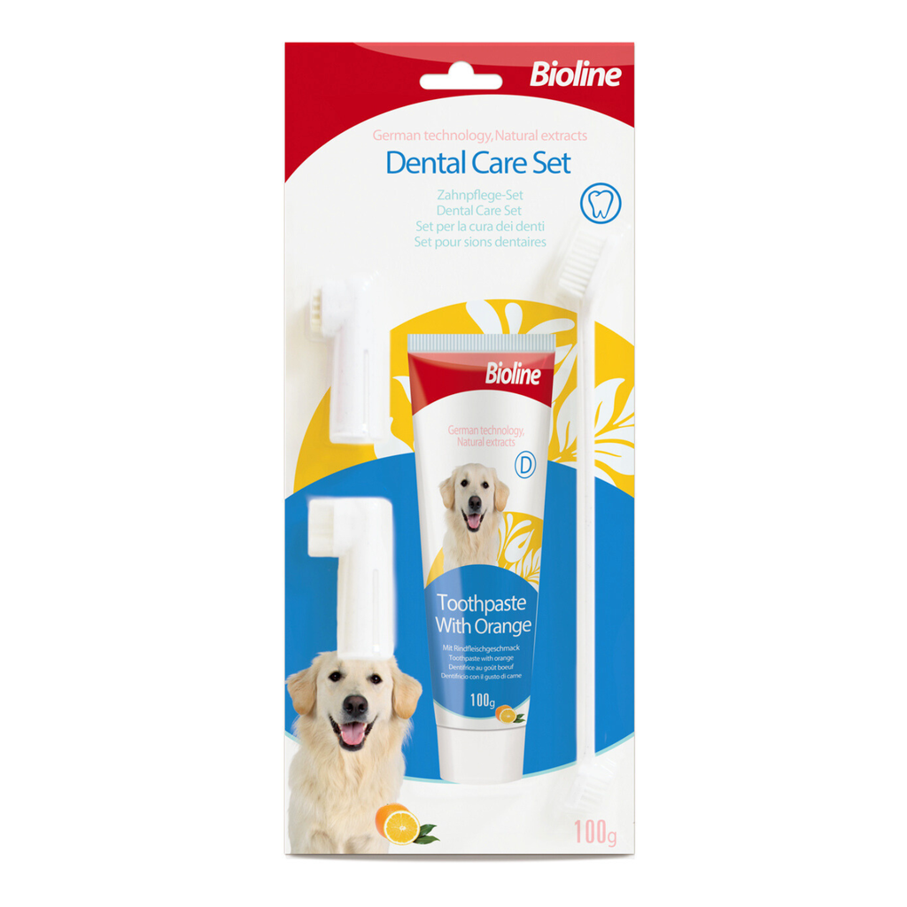 Bioline Dental Care Set[Weight - 100g, Flavor - Orange]