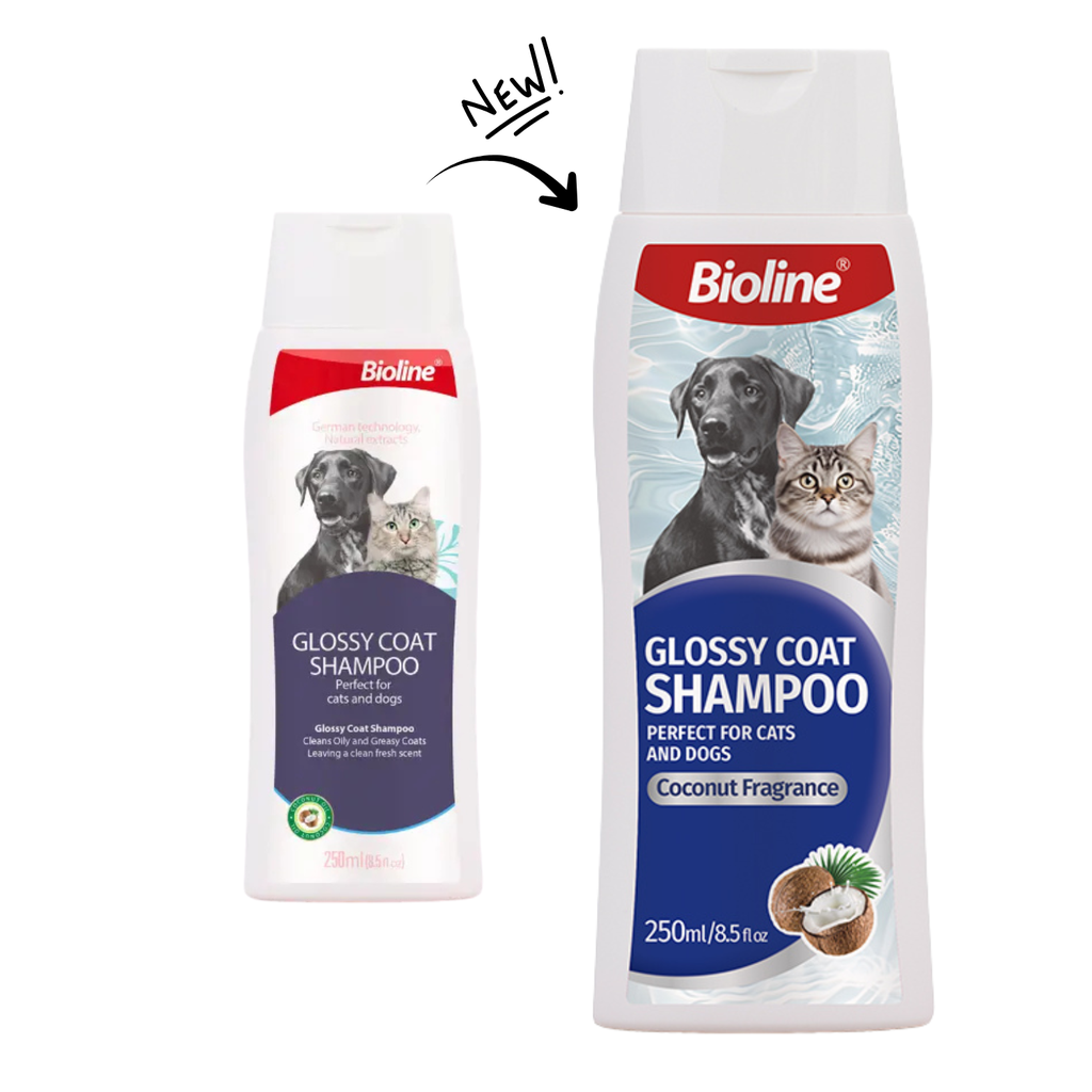 Bioline Glossy Coat Shampoo-Dogs And Cats [Weight - 250ml]