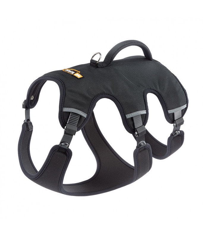 Ferplast Ergotrekking P Harnes[Color - Black, Dimension - 37-47 x 55-65 x 50-60cm]