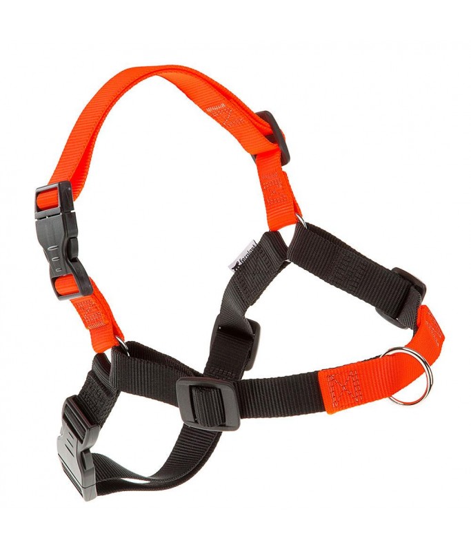 Ferplast Coach P S-M Harness[Color - Orange, Size - L/XL]