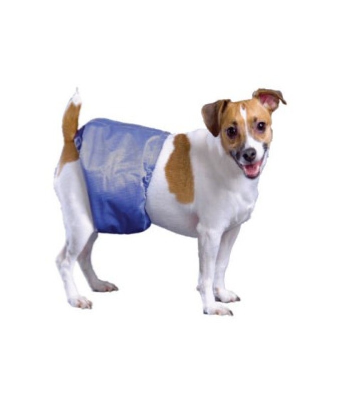 Pooch Pad Poochpants Male Wrap XL  29 - 35"[Length - 74 - 89cm, Size - XL]