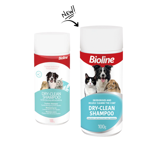 [6970117120202] Boline Dry Clean Shampoo 100g[Weight - 100g]