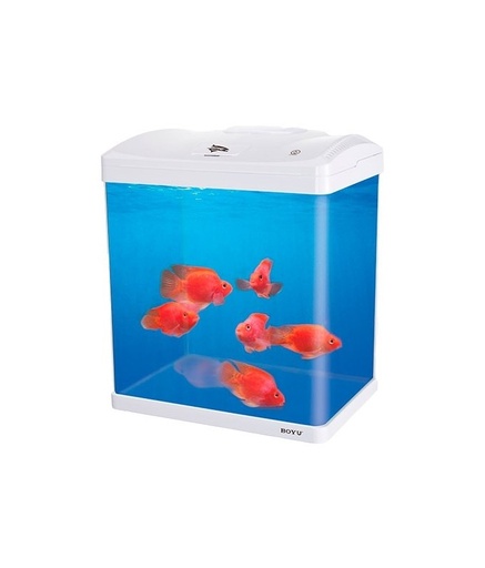 [AQBY EC400 AQM-DIS] Boyu Aquarium - 44 x 32.5 x 50.80cm