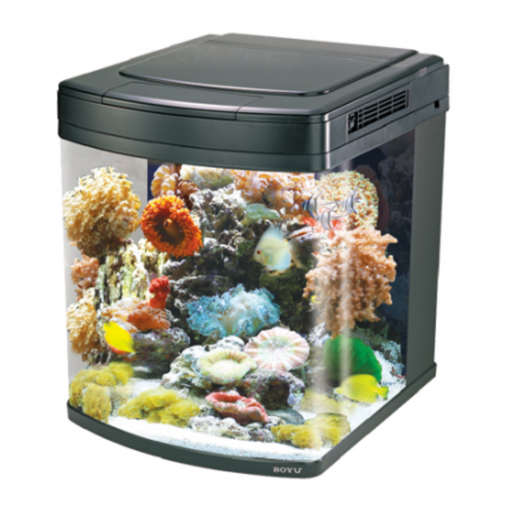 [AQBYHS62-AQM] Boyu Marine Aquarium-520Lx580Wx630Hmm[HS-62]-Without Cabinet-128L
