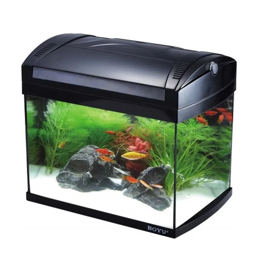 [AQBYZJ-601] Boyu Aquarium ZJ-Series(Without Cabinet)[Dimension - 628X370X375mm]