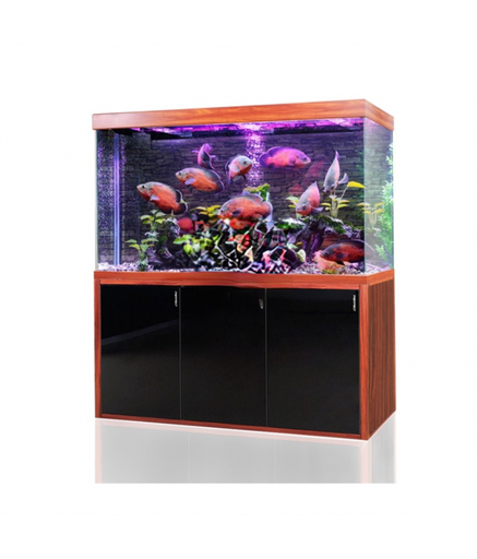 [AQKARISLYP1200-R] Karis Aquarium LYP-Series[Color - Maroon, Dimension - 1200 x 360 x 1600mm]