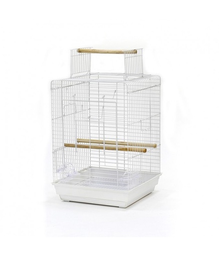 [BC-1901] Dayang Bird Cage (Medium) - 40 x 40 x 58cm - 6 Pcs/Box
