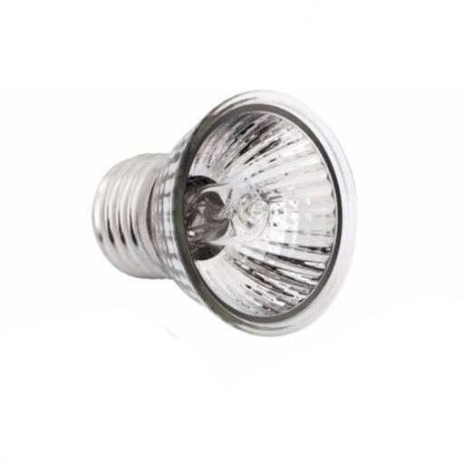 [BULB-GX-F01-50W] Roxin GX-F01 Tortoise Light Bulb 50W[Power - 50W]