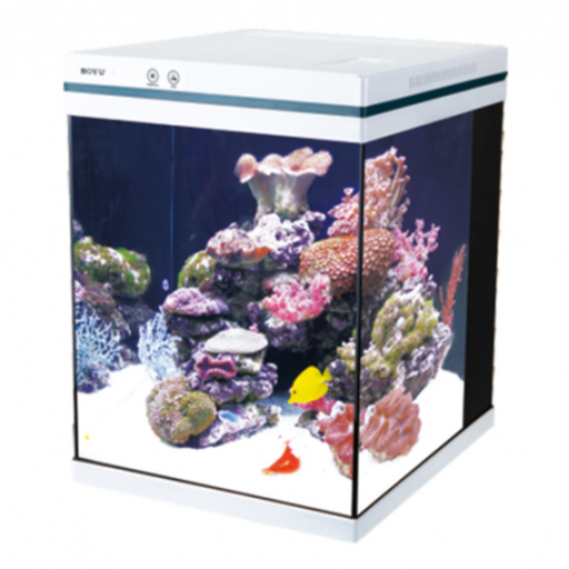 [BYMEZ-36] Boyu MEZ Series Intelligent Aquarium[Dimension - 401x312x373mm]