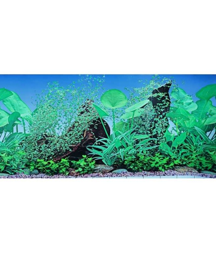 [F8-12] KW Zone Aquarium Backscreen (Picture) 12"x15m[Model - F8]