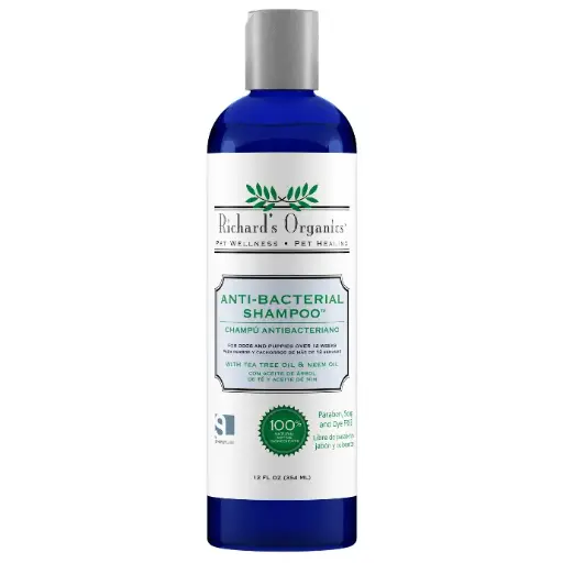 [FG00465] Synergy Lab Anti-bacterial Shampoo[Volume - 354ml]