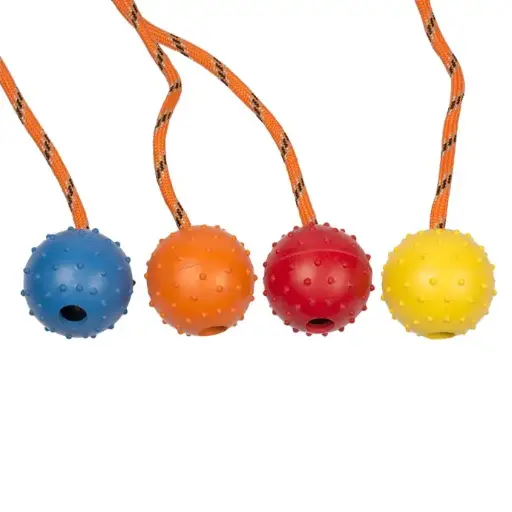 [LR10460] Duvo Rubber Dental Ball With Rope Mix Mixed Colors 33cm[Length - 33cm]