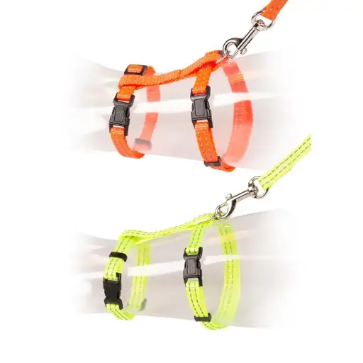 [LR11206] Duvo+ Big Cat Walking Set Reflective Uni 30-50cm / 12Mm - 125cm