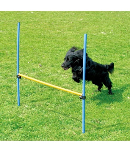 [PDB102] Pawpals Agility Dog Training Hurdle 117x6x6Cm