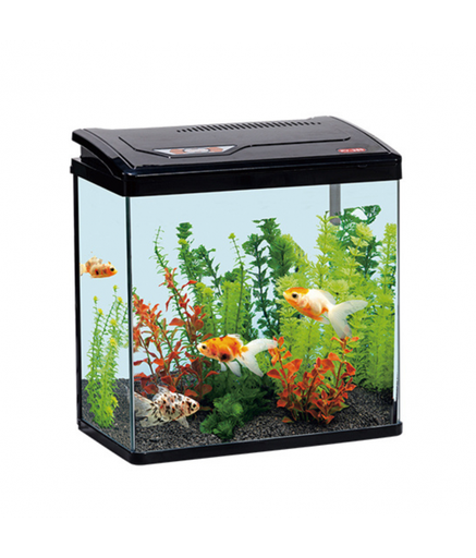 [PY-240-BK] Karis PY-Series Aquarium 235 x 160 x 280mm[Color - Black]