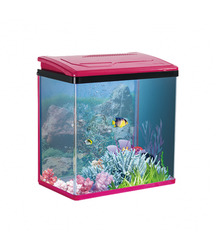 [PY-240-RD] Karis PY-Series Aquarium 235 x 160 x 280mm[Color - Maroon]