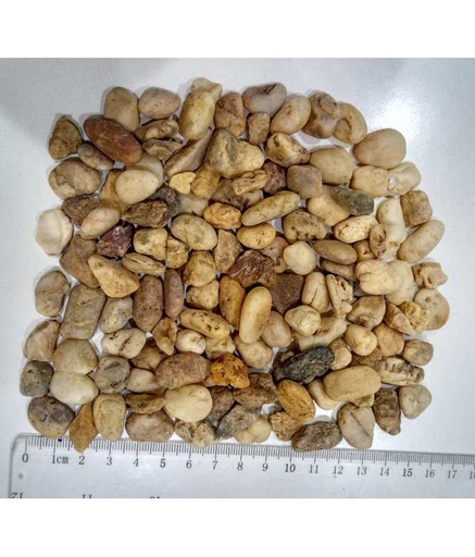 [XF20202F] Natural Color Aquarium Stone 10 kg (9-12mm)