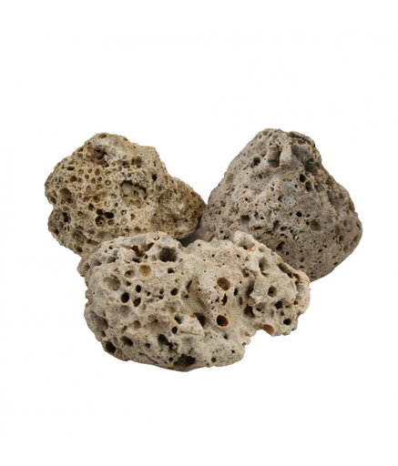 [XF40114] Natural Color Aquarium Dead Coral Rock- 15-25cm (kg)