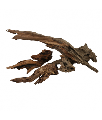 [XF40301] Natural Color Natural Tree Purple Teak Case Driftwood- 20-40cm (kg)