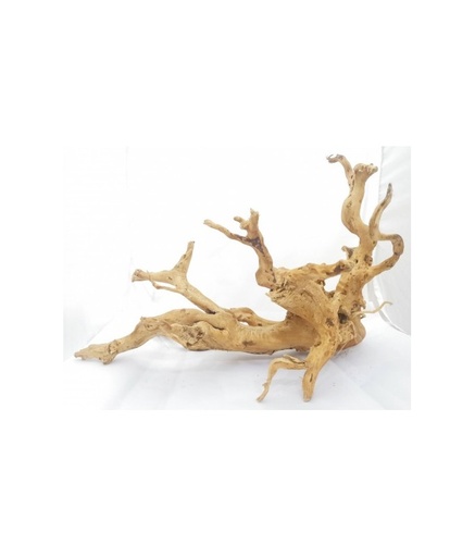 [XF40302A] Natural Color Stylish Mangrove for Aquarium, 40-80cm (kg)[Size - 40-80cm]