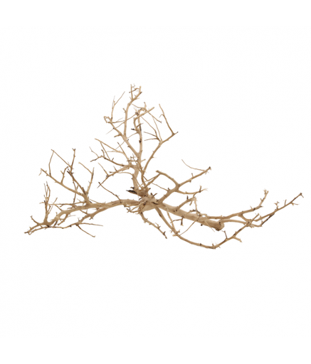 [XF40307] Natural Color Aquarium Decorative Natural Driftwood- 10-30cm (kg)