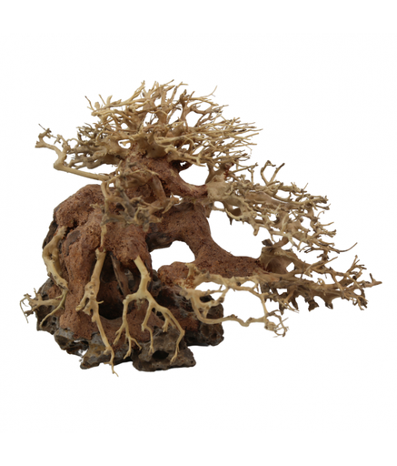 [XF40311L] Natural Color Aquarium Decorative Natural Bonsai Driftwood Tree- 30-35cm (pc)