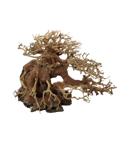 [XF40311M] Natural Color Aquarium Decorative Natural Bonsai Driftwood Tree- 25-30cm (pc)