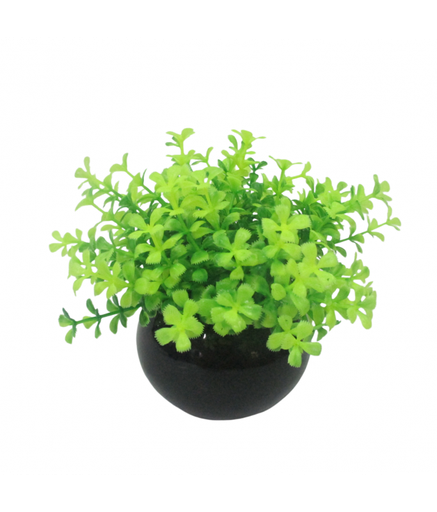 [YS-232202] Yusee Aquarium Decoration - Artificial Plant - YS-232202 (H:13-15cm)