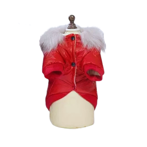 [YP033-3M] Catry Stylish Dog Dress[Size - M]