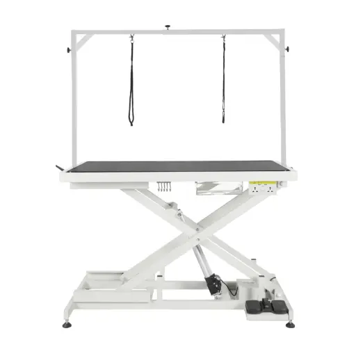 [FT-808P] Shernbao Low Electric Lifting Table 125x65x29-100cm
