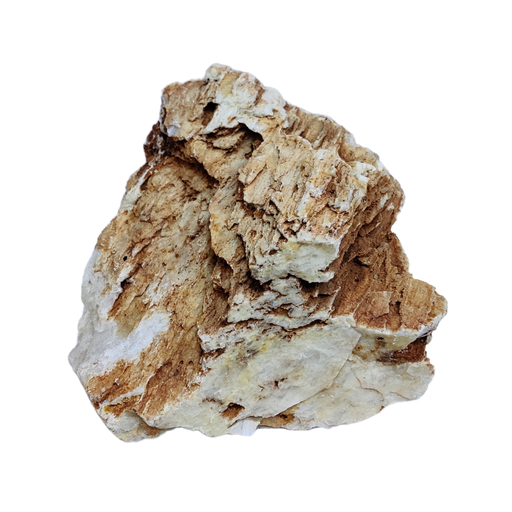 [AL-CKBNS] Aqualife Chicken Bone Stone-Per Kg