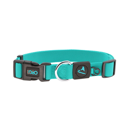 [DCSN002-11M] DOCO® Signature Nylon Collar - 2.0 x 34-51cm[Color - Turquoise, Size - M]