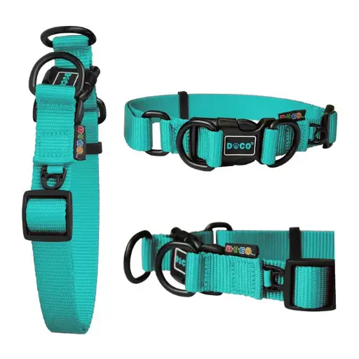 [DCS005-11L] DOCO® DD Collar 2.5 x 45-68cm(L) Turquoise