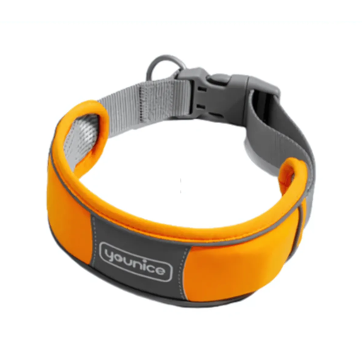 [JE-A089-C] Golden Panda Younice Neroprene Dog Collar 45-55cm
