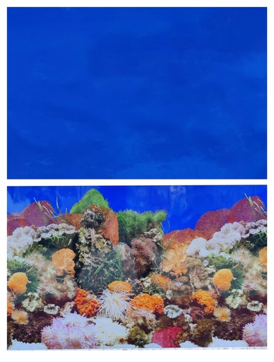 [BYJ15-J01-60CM] Boyu Plastic Double Sides Background Paper 60cm x15m