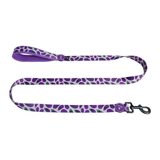 [DCL1060-EPS] DOCO® LOCO Leash - 5ft Small-1.5 x 150cm EP