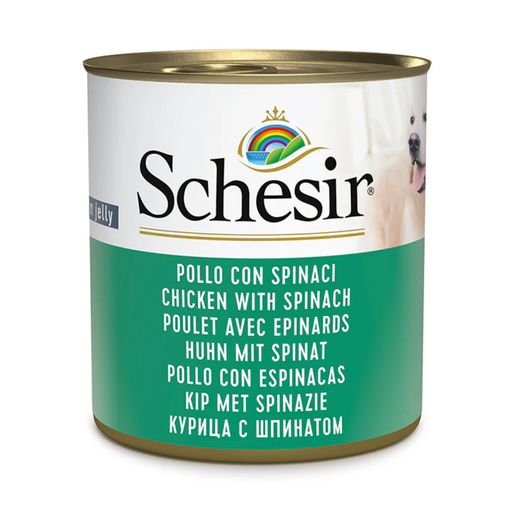 [C01064728] Schesir Dog Wet Food in Jelly Can-Chicken With Spinach 285g [MOQ:16pcs]