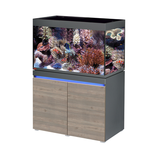 [EH0693527] EHEIM incpiria 330 marine graphit/rustic oak UK 330Ltr -[100Lx60Hx65W cm]