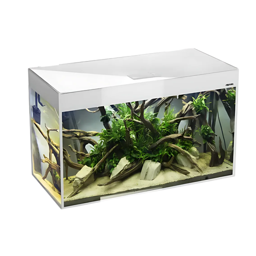 [AQ124363] Aquael Aquarium Set Glossy ST Day & Night-White-100 x 40 x 63cm [215Litres]