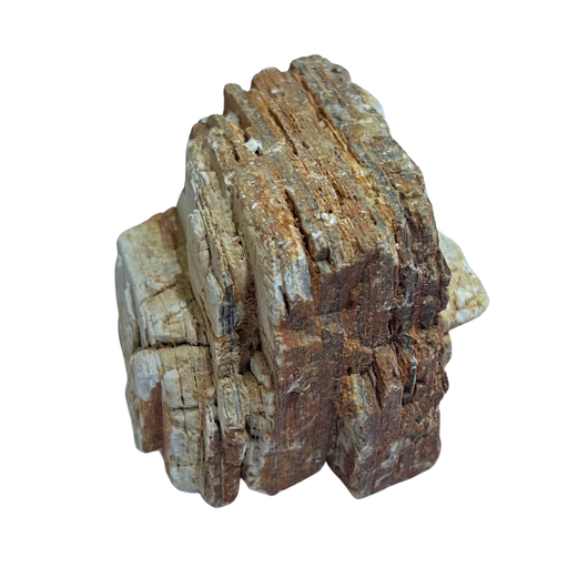 [KS-13604] Karis Red Melalecua Rock Large (Per Kg)