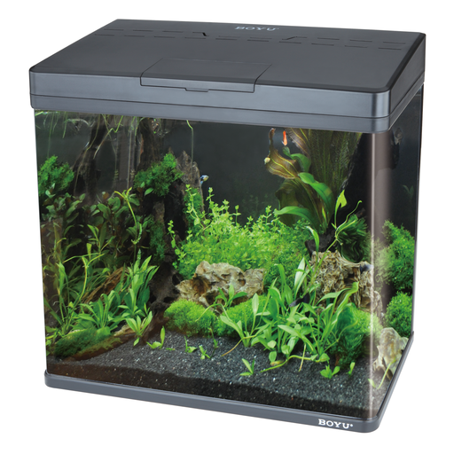 [BYMS-520D-B] Boyu Aquarium MS-Series(Without Cabinet)[Color - Black,Dimension - 480x250x490cm]   